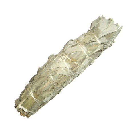 White Sage Smudge Bundle 7 inch Bundle White Sage Smudge Bundle 7 inch Bundle