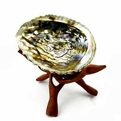 Abalone Shell on tripod stand Abalone Shell on tripod stand