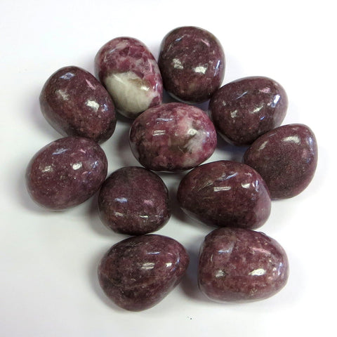 Tumbled Lepidolite Tumbled Lepidolite